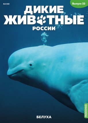Дикие животные России № 33: Белуха - AR33