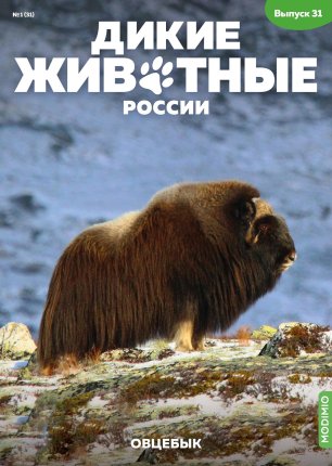 Дикие животные России № 31: Овцебык - AR31
