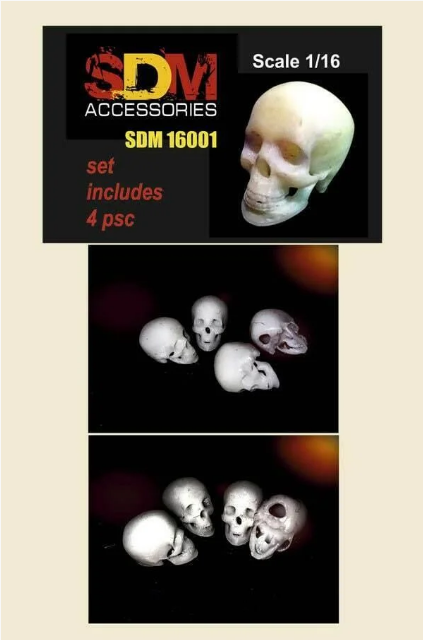 Черепа человека. 4 шт - SDM16001