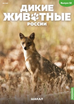 Дикие животные России № 32: Шакал - AR32