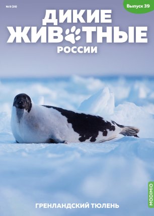 Дикие животные России № 39: Гренландский тюлень - AR39