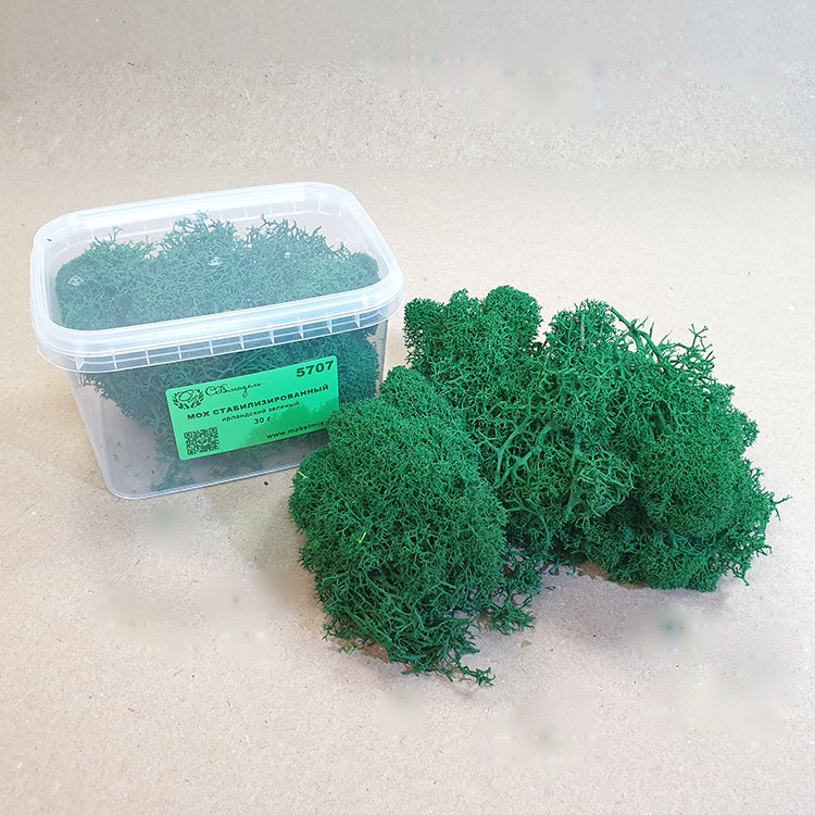 Мох стабилизированный ирландский зеленый, 30 г - 5707