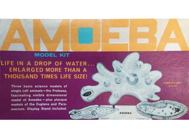 1:0 Сборная модель Amoeba Single Cell Model Kit *STEM* - AMCL3800