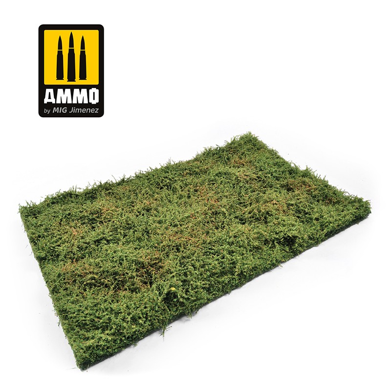 Wilderness Fields with Bushes – Early Summer - A.MIG-8363