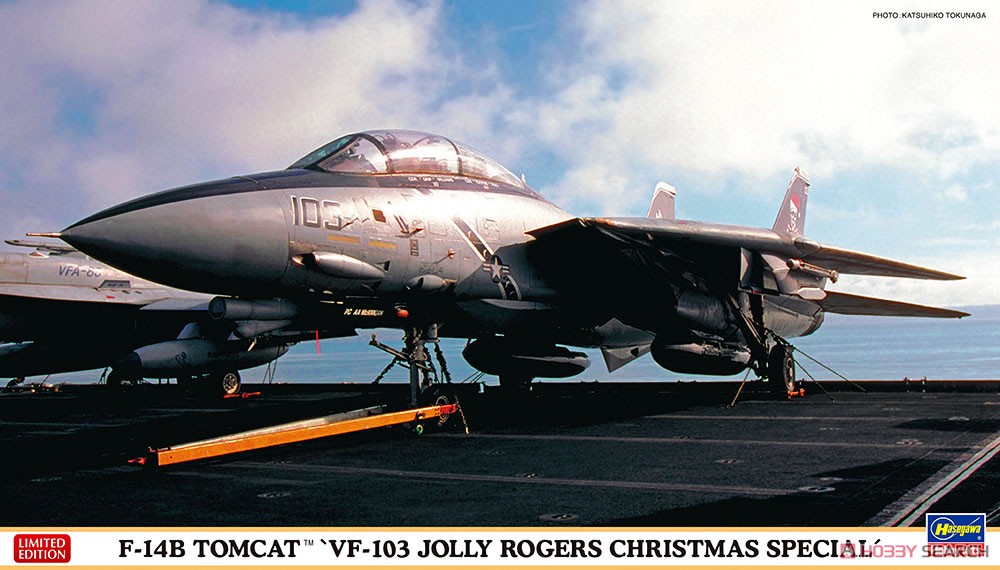1:72 Сборная модель Самолет F-14B'VF-103 JOLLY ROGERS - 02391