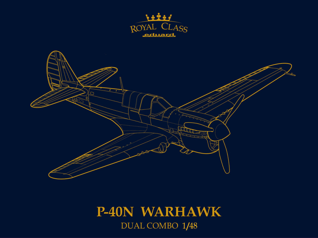 1:48 Сборная модель Двойной комбо-набор P-40N Warhawk Royal Cass - R0025