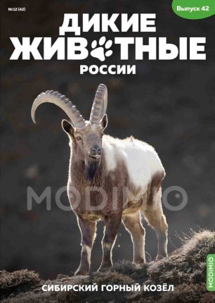 Дикие животные России № 42: Сибирский горный козёл - AR42