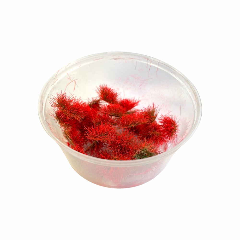 Кочки травы неоновые, красные, 5 мм, 30 шт. - kn04