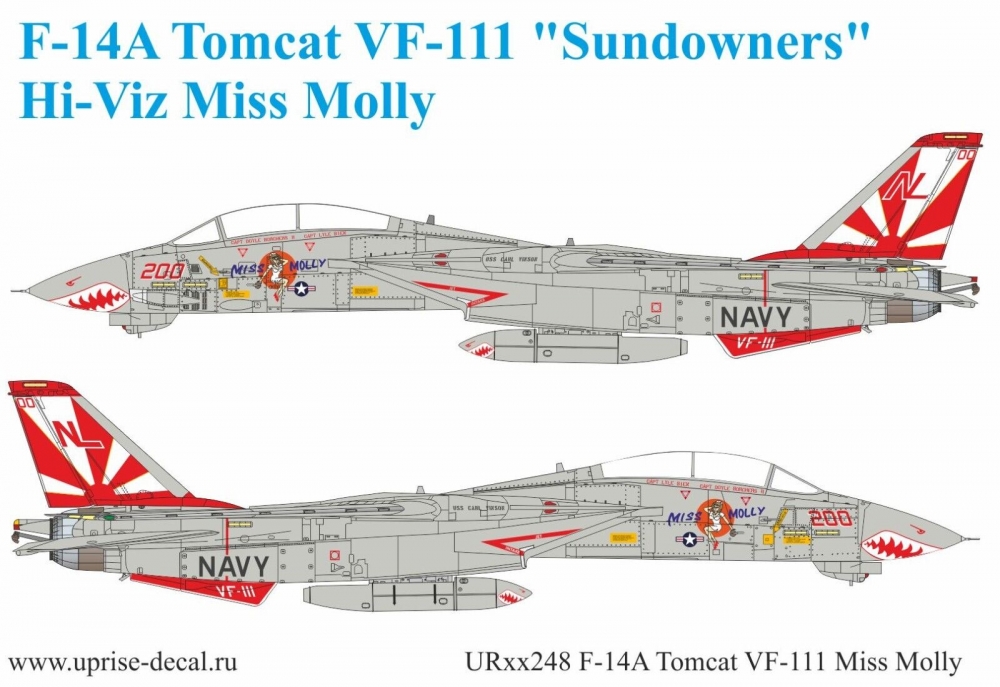 1:32 Декаль для F-14A Tomcat VF-111 Pt.1 Miss Molly - UR32248
