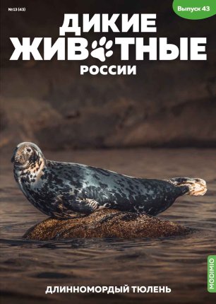 Дикие животные России № 43: Длинномордый тюлень - AR43