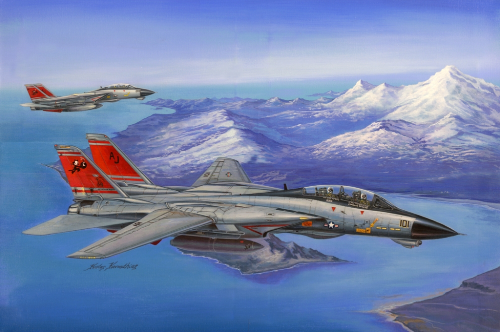 1:48 Сборная модель Самолет F-14D Super Tomcat - 80368