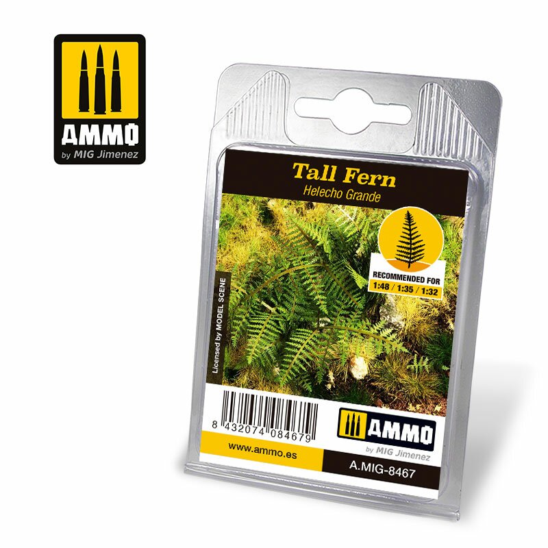 Tall Fern - A.MIG-8467