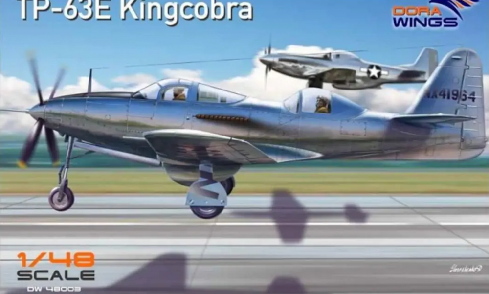1:48 Сборная модель Самолет Bell TP-63E Kingcobra (двухместный) - DW48003