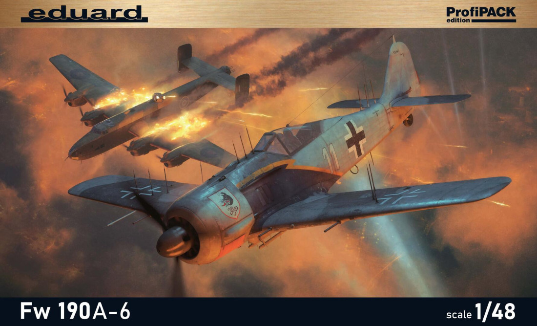 1:48 Сборная модель немецкий истребитель Fw 190A-6 (ProfiPACK) - 82137