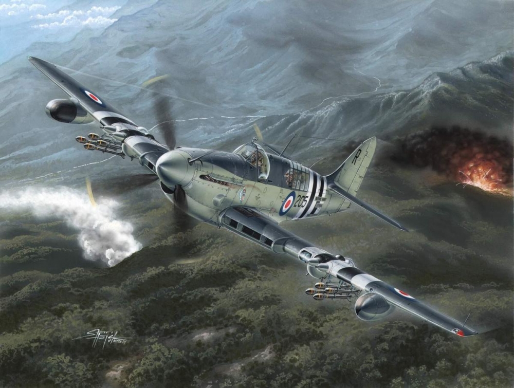 1:48 Сборная модель Самолет Fairey Firefly Mk.4/5 'Korean War' - SH48136