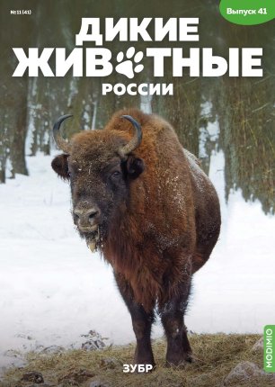 Дикие животные России № 41: Зубр - AR41