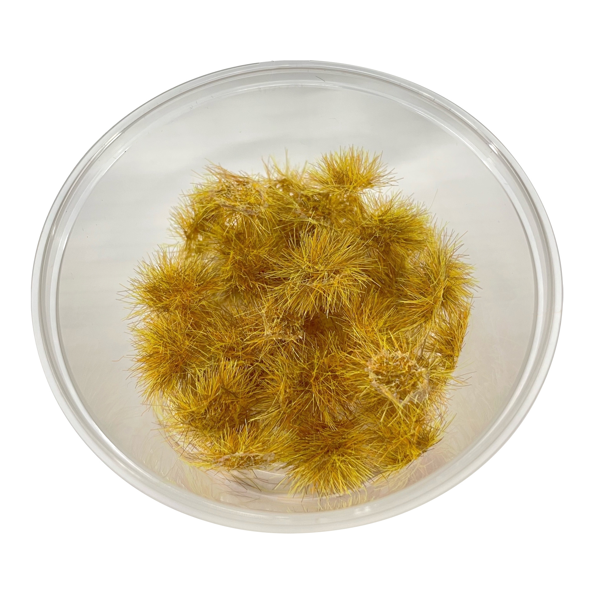 1:35 Кочки травы золотая осень, 50 шт. / 5 мм - 30138