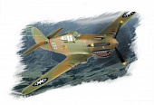 1:72 Сборная модель Самолет P-40B/C Hawk-81 - 80209