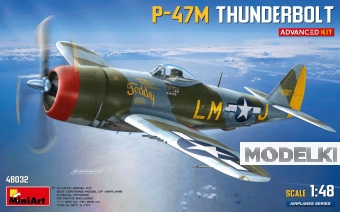 1:48 Сборная модель DRAGON WINGS P-47m Thunderbolt Airplane Military 1942 - 48032
