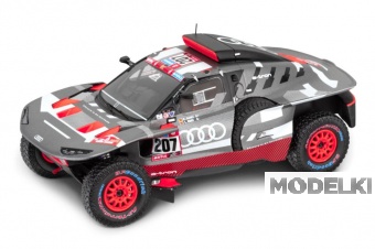 1:43 AUDI RS Q e-tron, Rallye Dakar (2023), Sainz/Cruz - 5022200633