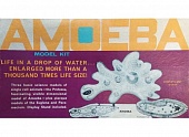 1:0 Сборная модель Amoeba Single Cell Model Kit *STEM* - AMCL3800