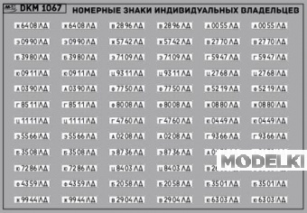 1:43 Декаль Номерные знаки индивидуальных владельцев Ленинградская область (100х65) - DKM1067