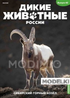 Дикие животные России № 42: Сибирский горный козёл - AR42