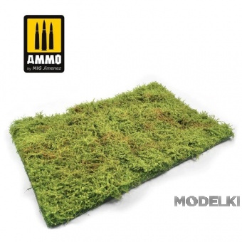 Весенние дикие поля с кустарниками - Wilderness Fields with Bushes – Spring - A.MIG-8362