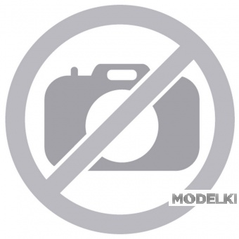 1:43 MINARDI European Cosworth PS03 (2003), красный - 400030039