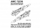 1:72 Набор для доработки Советская / российская противокорабельная ракета Х-31А с пилоном АКУ-58-1 - АМС 72236