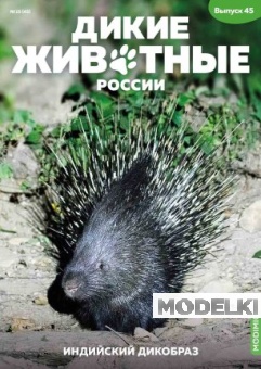 Дикие животные России № 45: Индийский дикобраз - AR45
