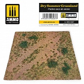 Сухие летние пастбища / Dry Summer Grassland - A.MIG-8487
