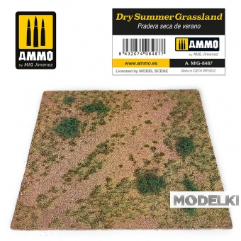 Сухие летние пастбища / Dry Summer Grassland - A.MIG-8487