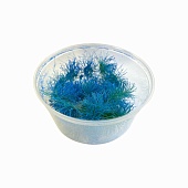 Кочки травы неоновые, синие, 12 мм, 25 шт. - kn11