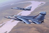 1:48 Сборная модель Самолет EF-111 Raven - 80352